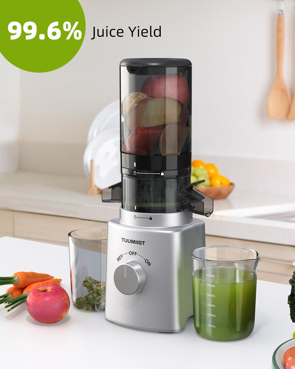 Cold Press Masticating Juicer with Large Feed Chute P2544