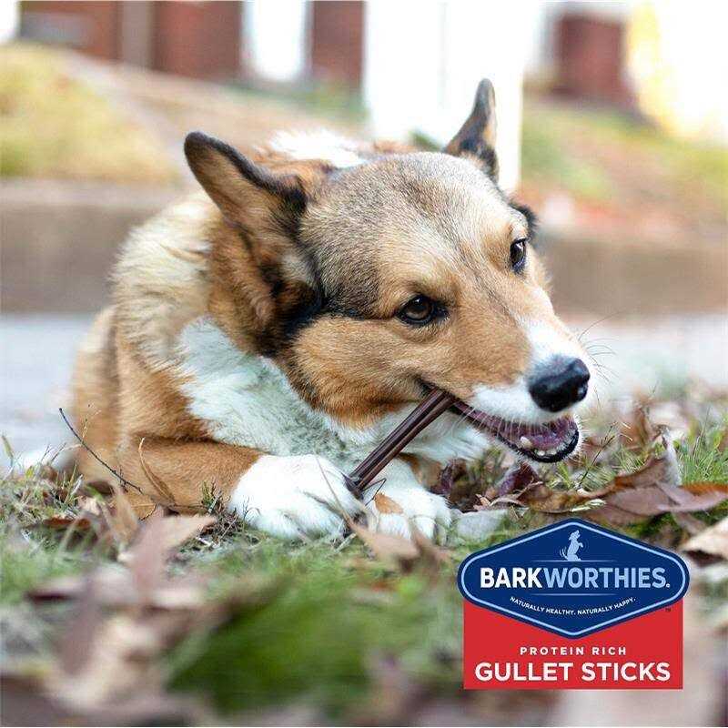 Odor Free Bully M326