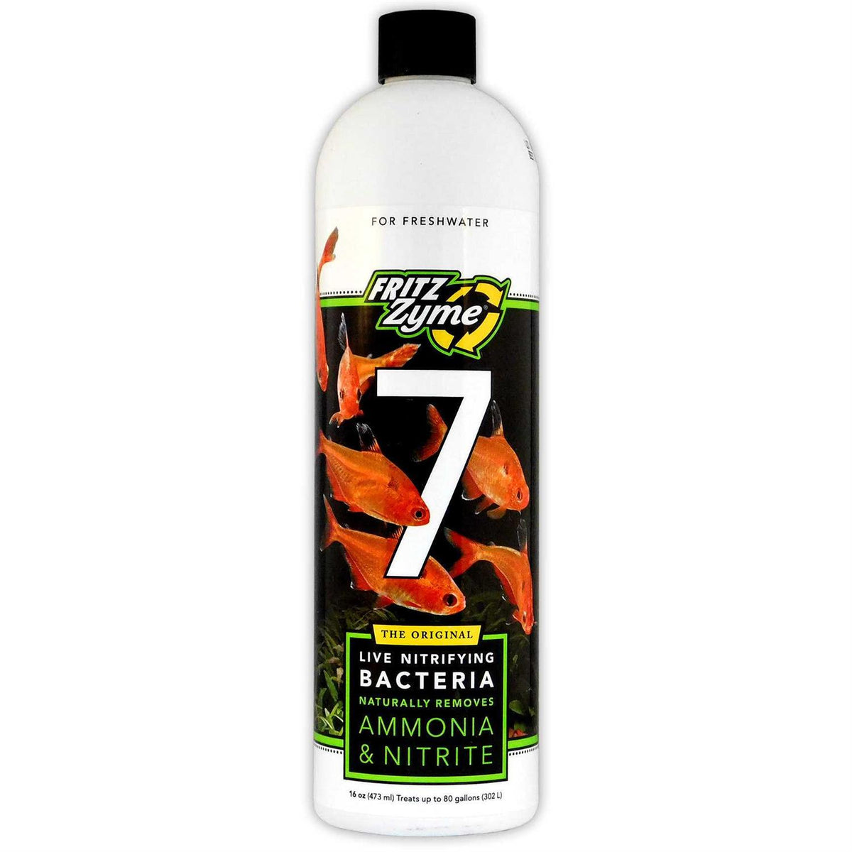 Freshwater Nitrifying Bacteria Z2587