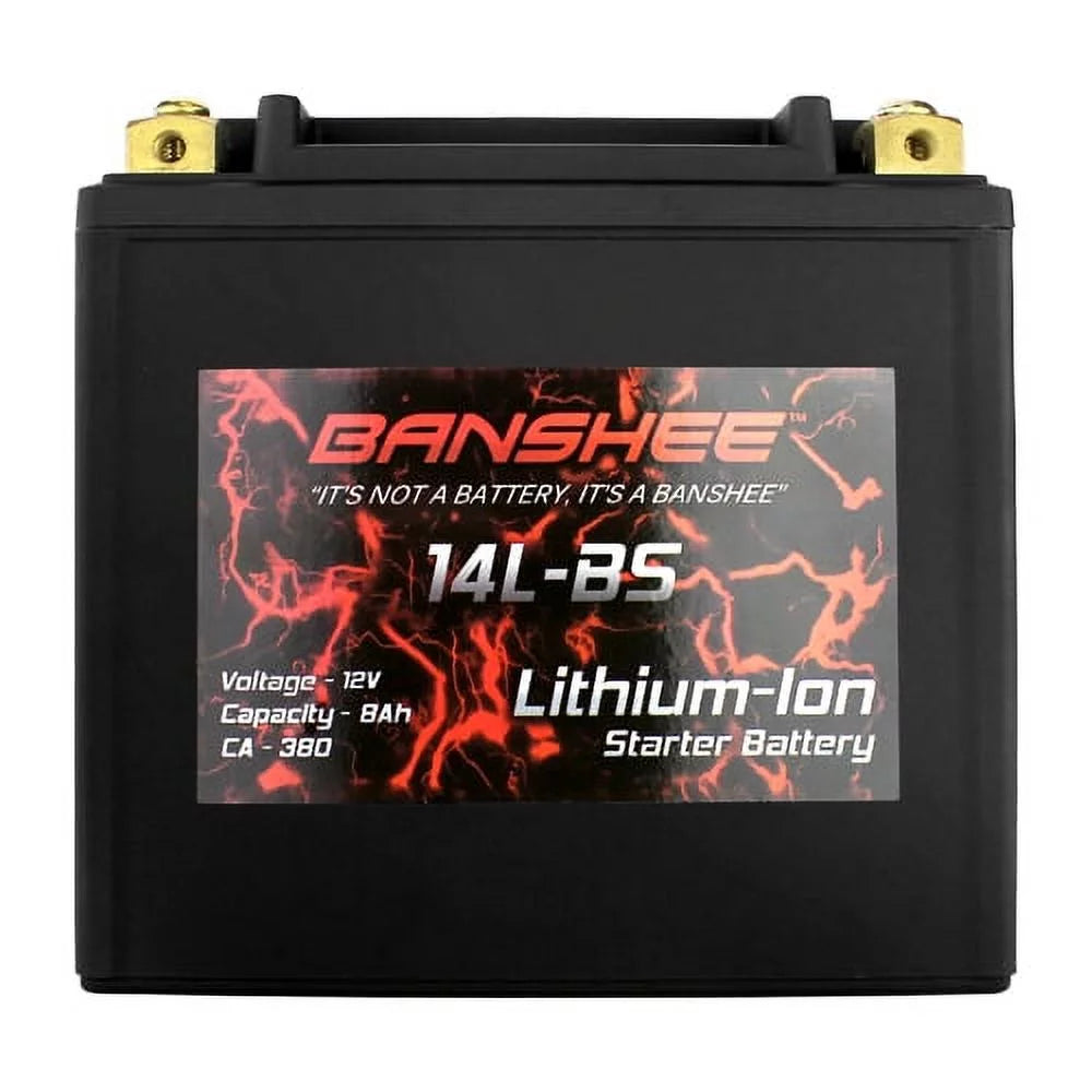 Lithium LiFePO4 Battery J911