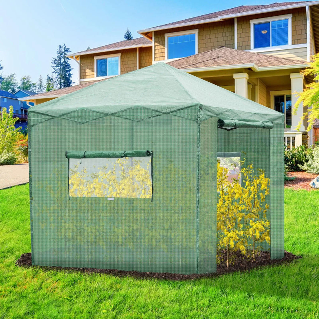 Greenhouse Pop Up Plant C59102