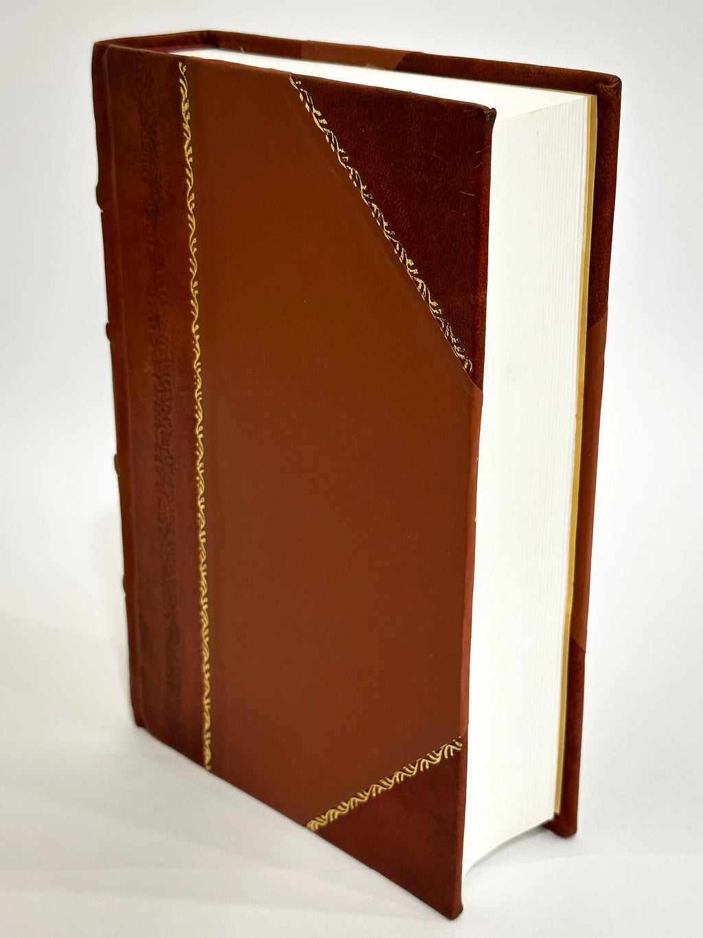 History of Three Hundred and Twenty Eighth Regiment of Infantry : Eighty-Second Division, American Expeditionary Forces, United States Army (1920) [Leather Bound] A7857