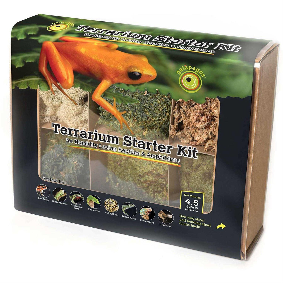 Terrarium Starter Kit L5137
