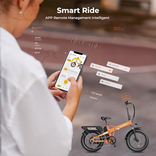 Foldable Fat Tire Electric Bike with 48V 12.5Ah Removable Battery F2149