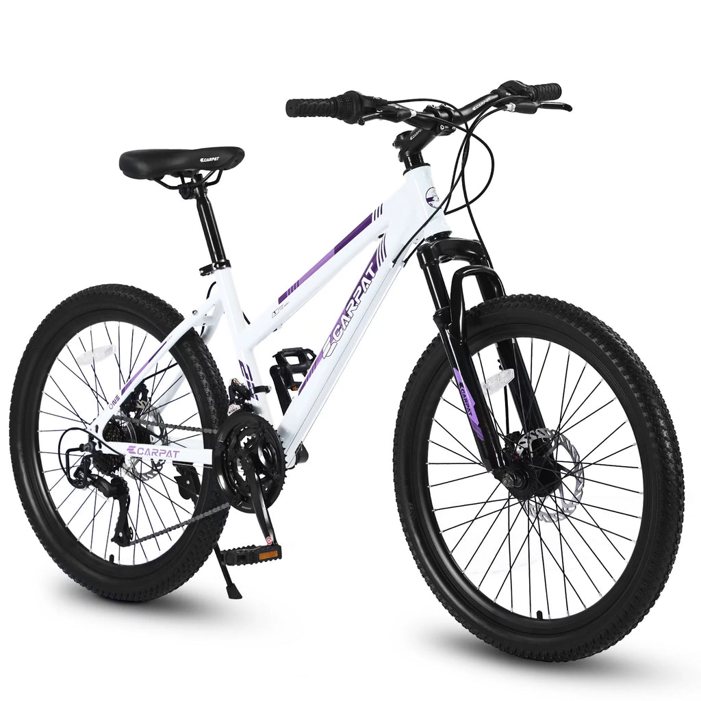24 inch Mountain Bike with 21 Speeds Gear and Dual Disc Brakes O523755