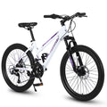 24 inch Mountain Bike with 21 Speeds Gear and Dual Disc Brakes O523755