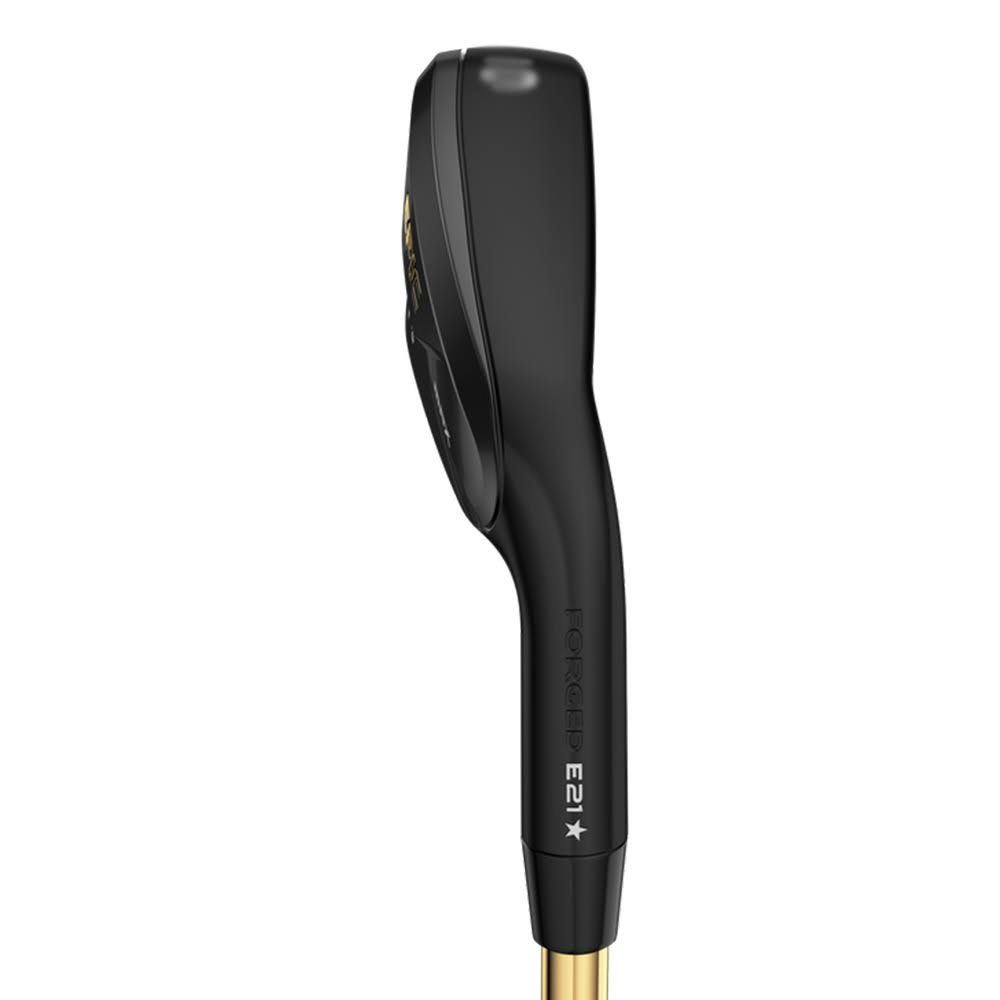 Individual Iron E6253