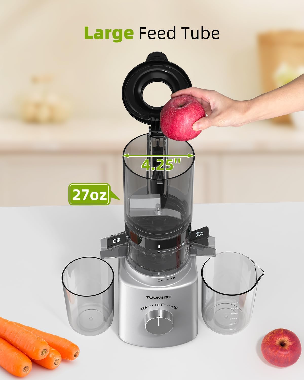 Cold Press Masticating Juicer with Large Feed Chute P2544