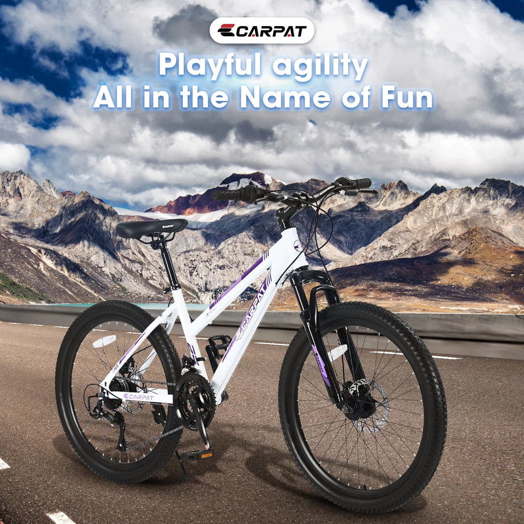 24 inch Mountain Bike with 21 Speeds Gear and Dual Disc Brakes O523755