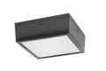 Vandalproof Canopy 10W Cool LED 120V Bronze P316