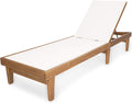 Outdoor Mesh Chaise Lounge with Acacia Wood Frame T85502