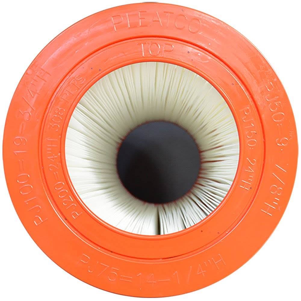 Replacement Cartridge for Jacuzzi Z668133