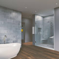 Chrome Frameless Hinged Shower Door H50809