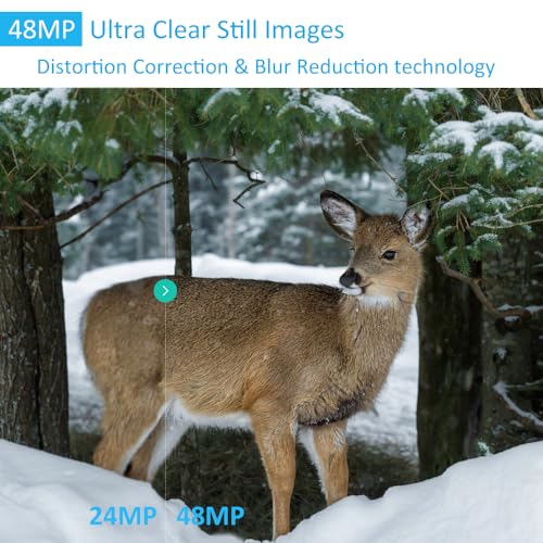 48MP 1296p Night Vision Waterproof Trail Camera W864