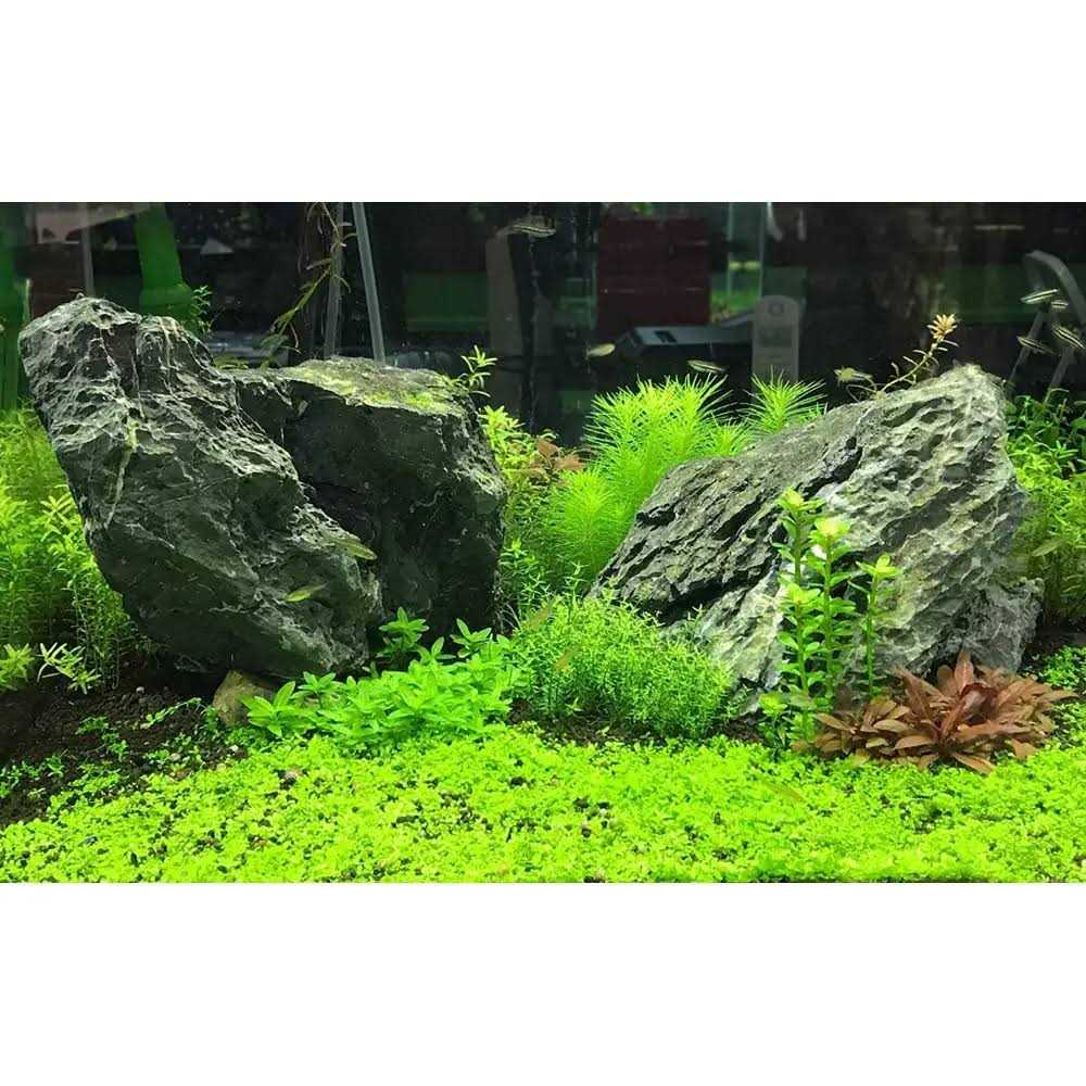 Seachem Flourish Tabs B573899