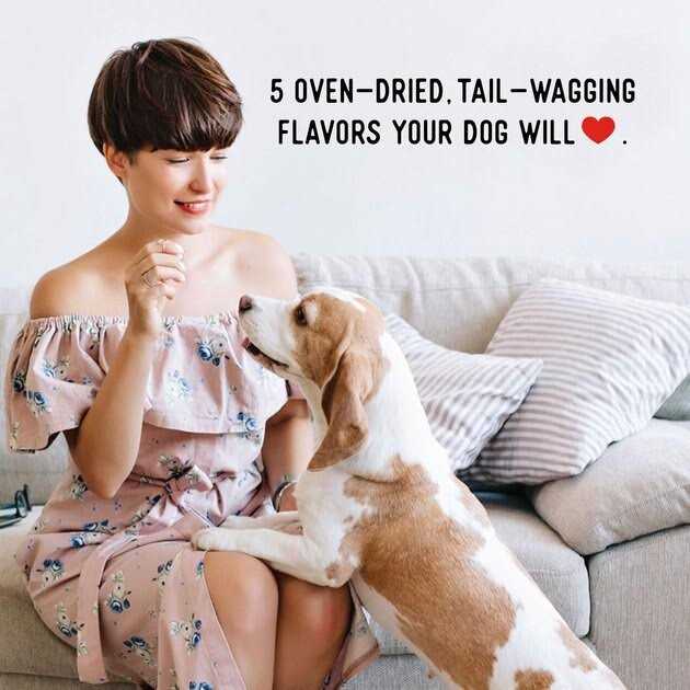 Chicken Jerky Dog Treats X2693