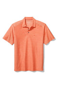 Peach Parrot Classic Fit Polo X382716