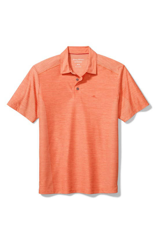 Peach Parrot Classic Fit Polo X382716