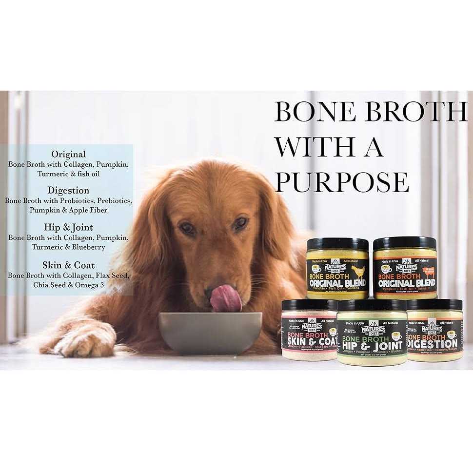 Pet Bone Broth Protein Powder W1756