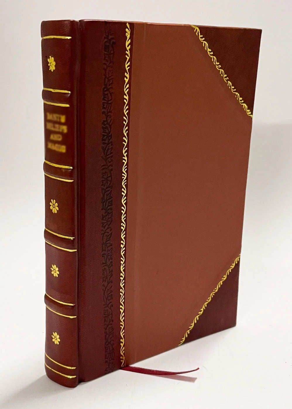 Anarkhizm V Soedinennykh Shtatakh Leather Bound D4006