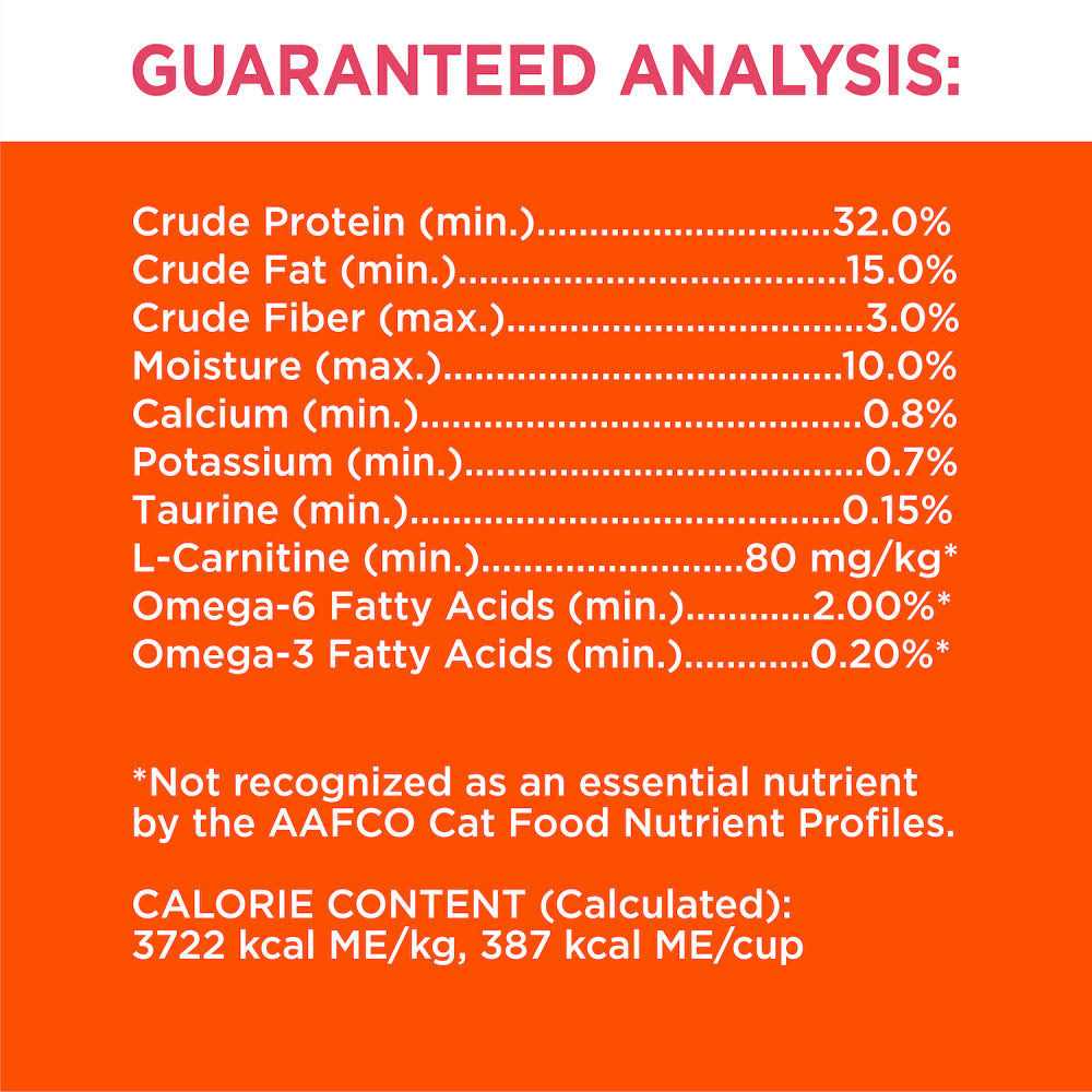 Salmon Adult Dry Cat Food K653158