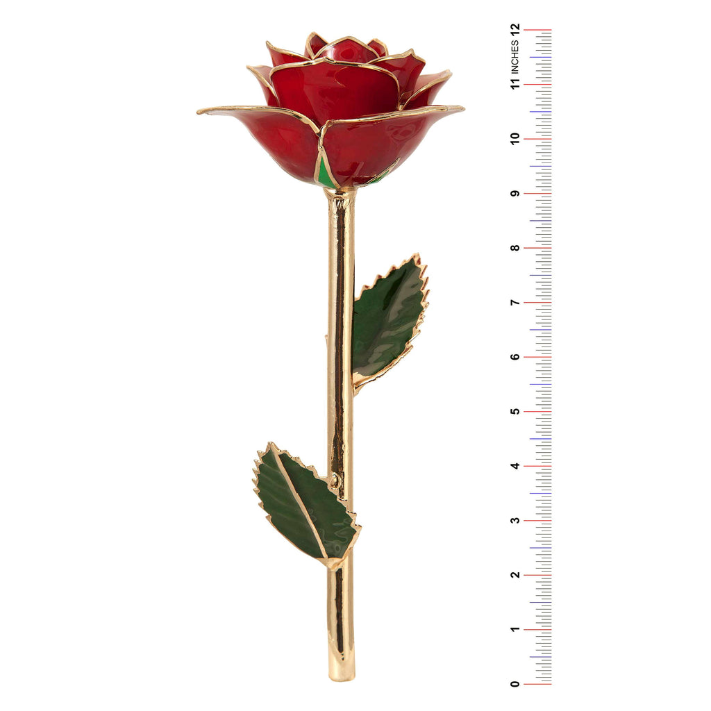 24K Gold Dipped Laquered Rose Q944