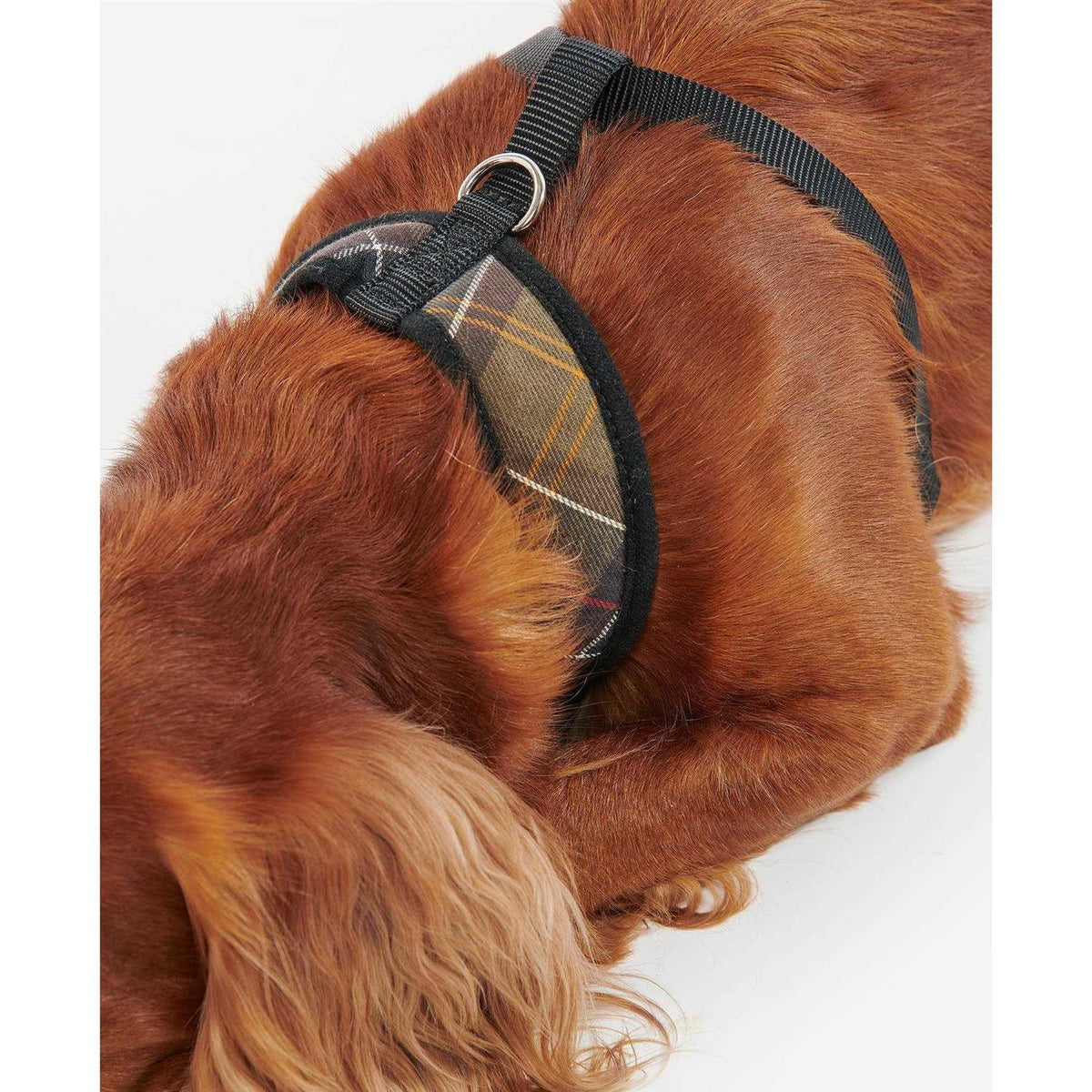 Tartan Dog Harness I5401