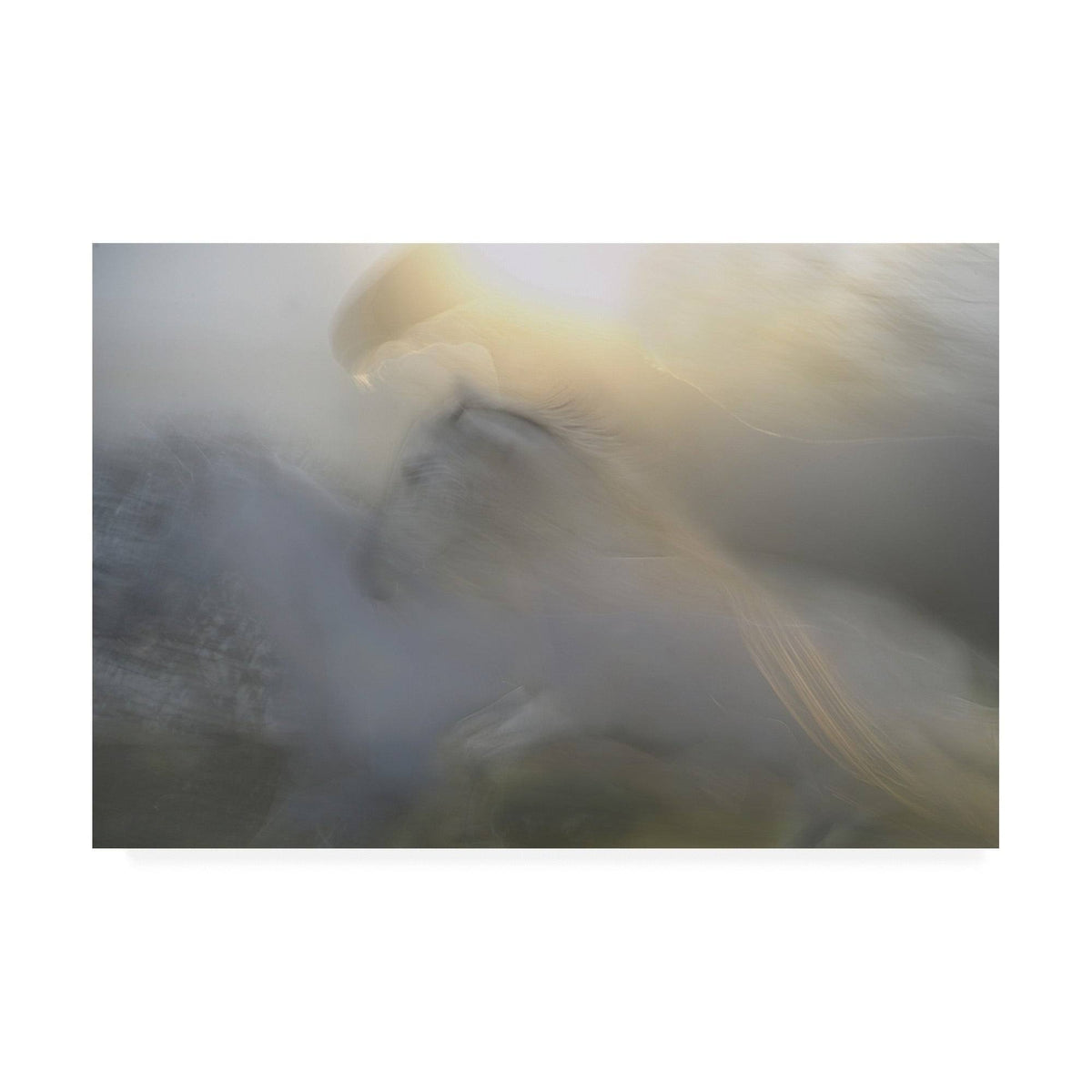 Canvas Art - 22x32 A83070