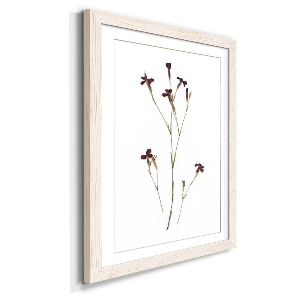 Framed Print - 23X32 - Grey F4213