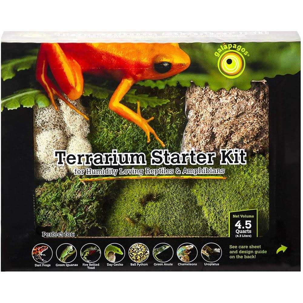Terrarium Starter Kit L5137