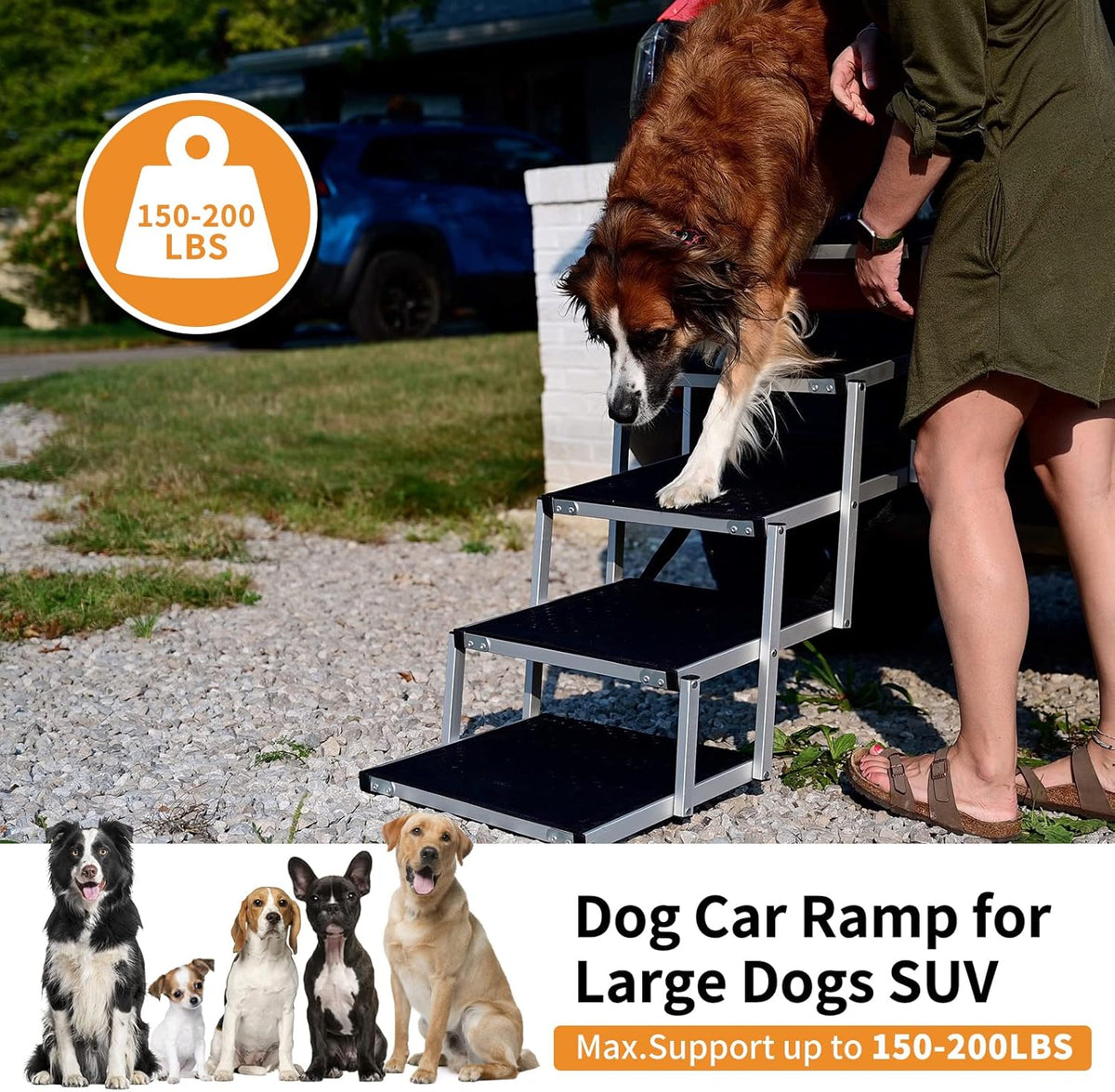 Folding Dog Ramp with Nonslip Surface J1390