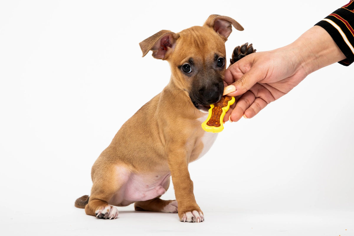 0.88 OZ Bacon Dog Treat J363760