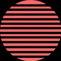 Electronica Vinyl R13121