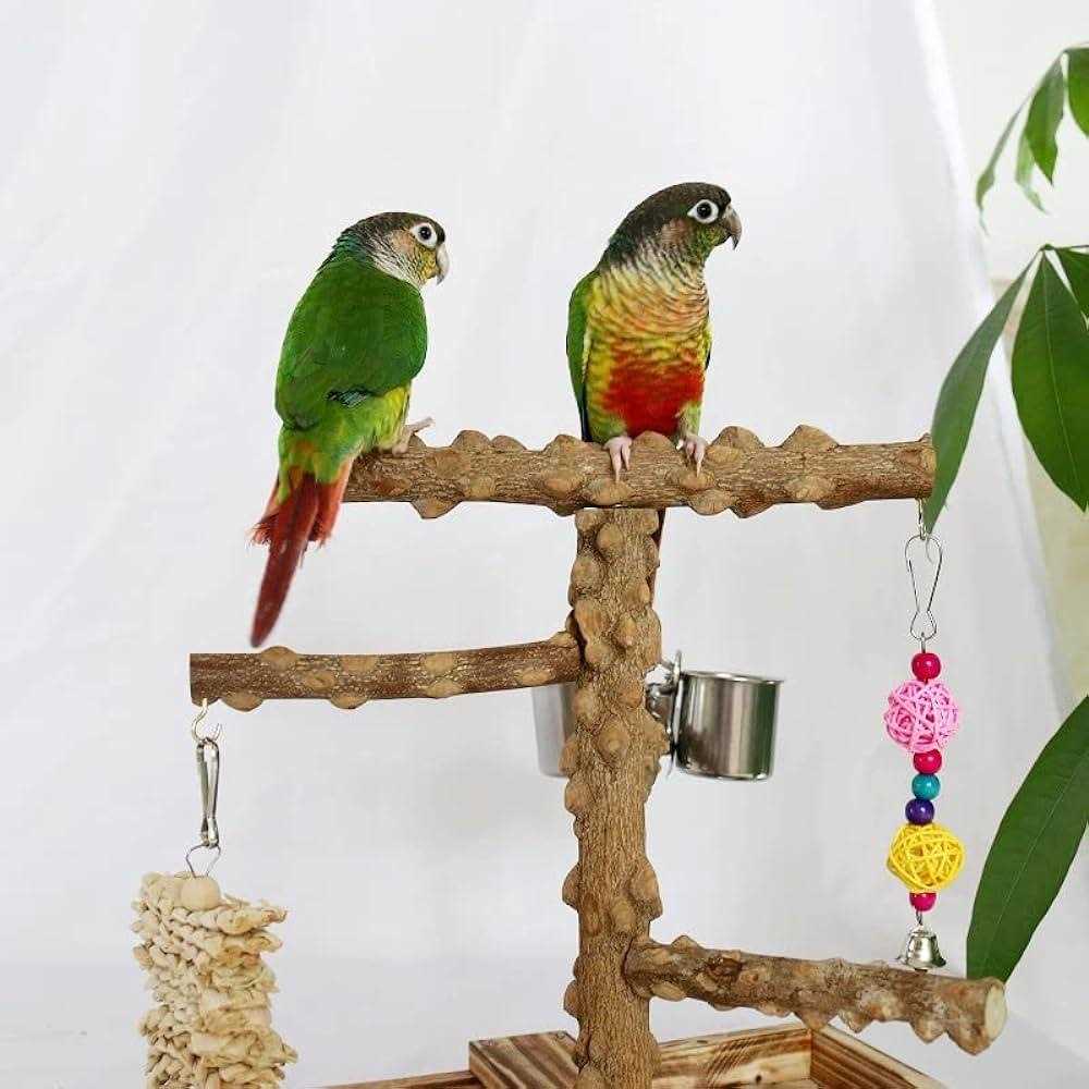 Wood Bird Perch Platform Stand M412338