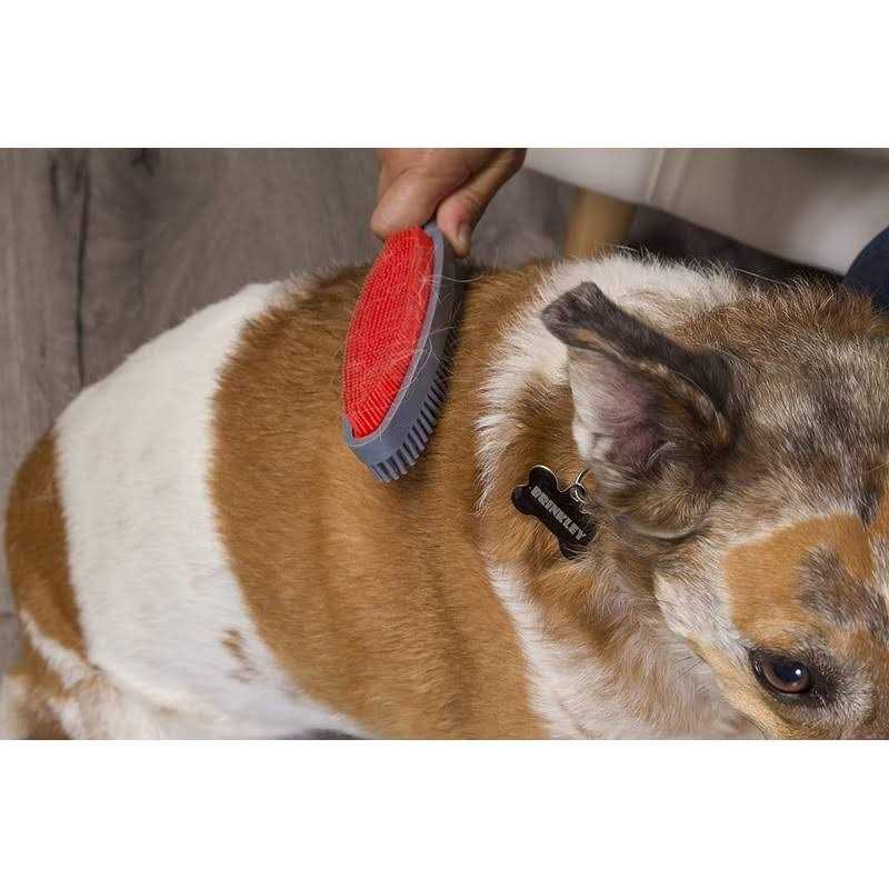 Lint Brush B481246