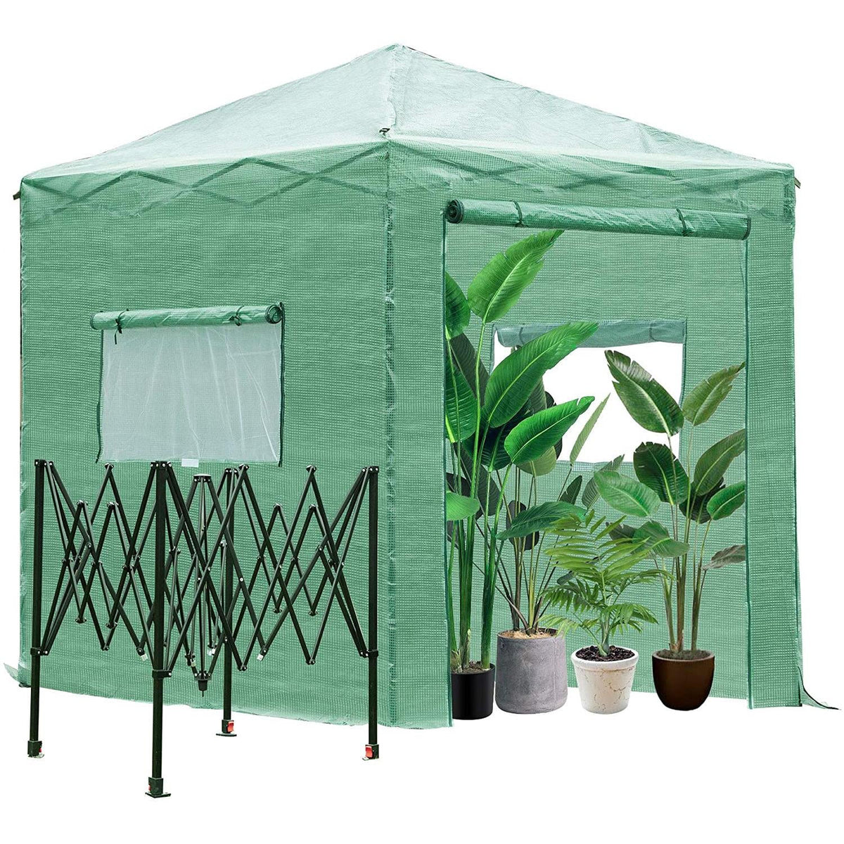 Greenhouse Pop Up Plant C59102