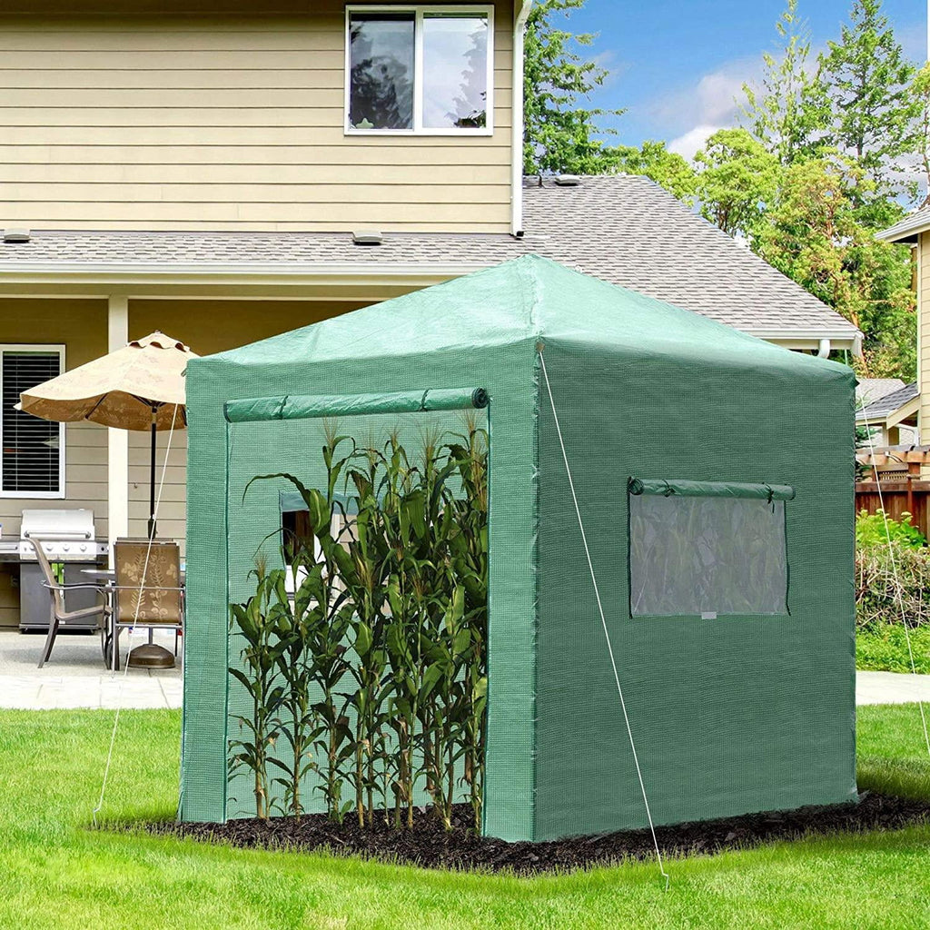 Greenhouse Pop Up Plant C59102
