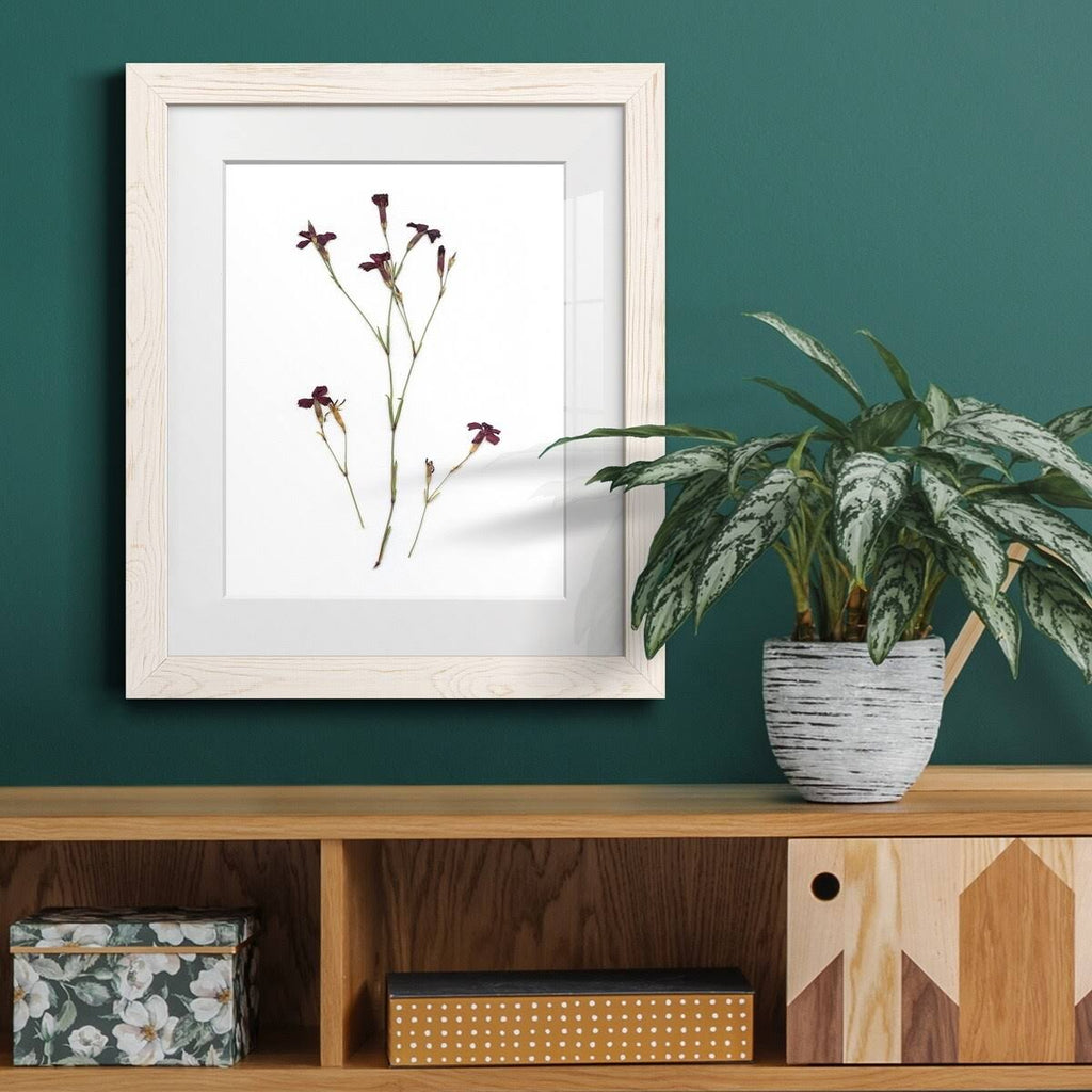 Framed Print - 23X32 - Grey F4213