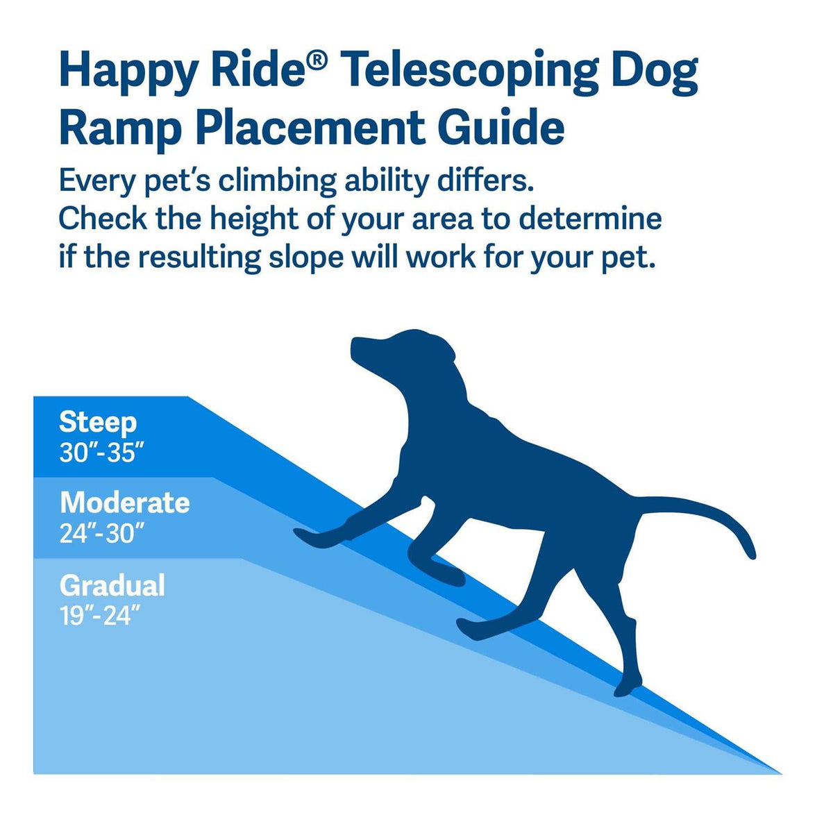 Telescoping Dog Ramp P79529