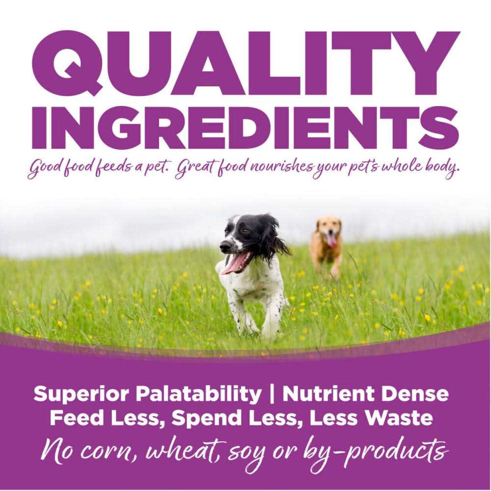 Chicken Rice Large-Breed Puppy Dry Dog Food G35534