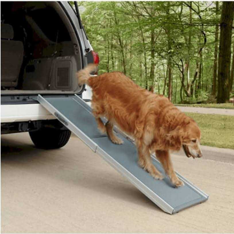 Telescoping Dog Ramp P79529