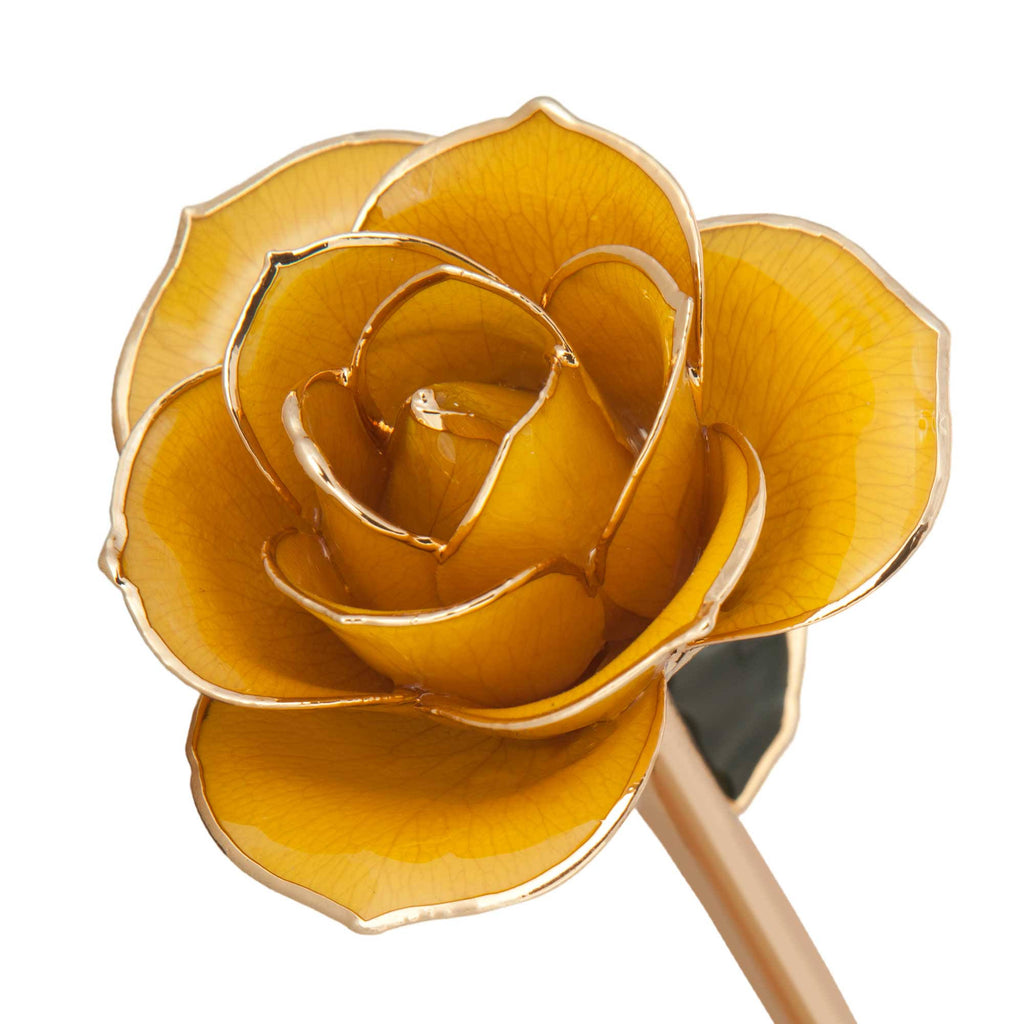 24K Gold Dipped Laquered Rose Q944