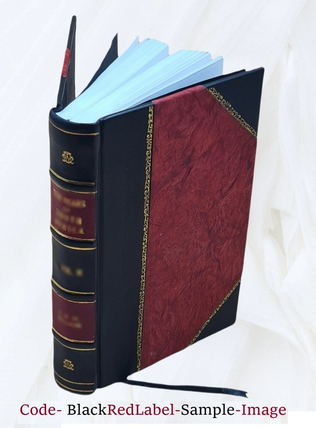 Leather Bound Book Z991491