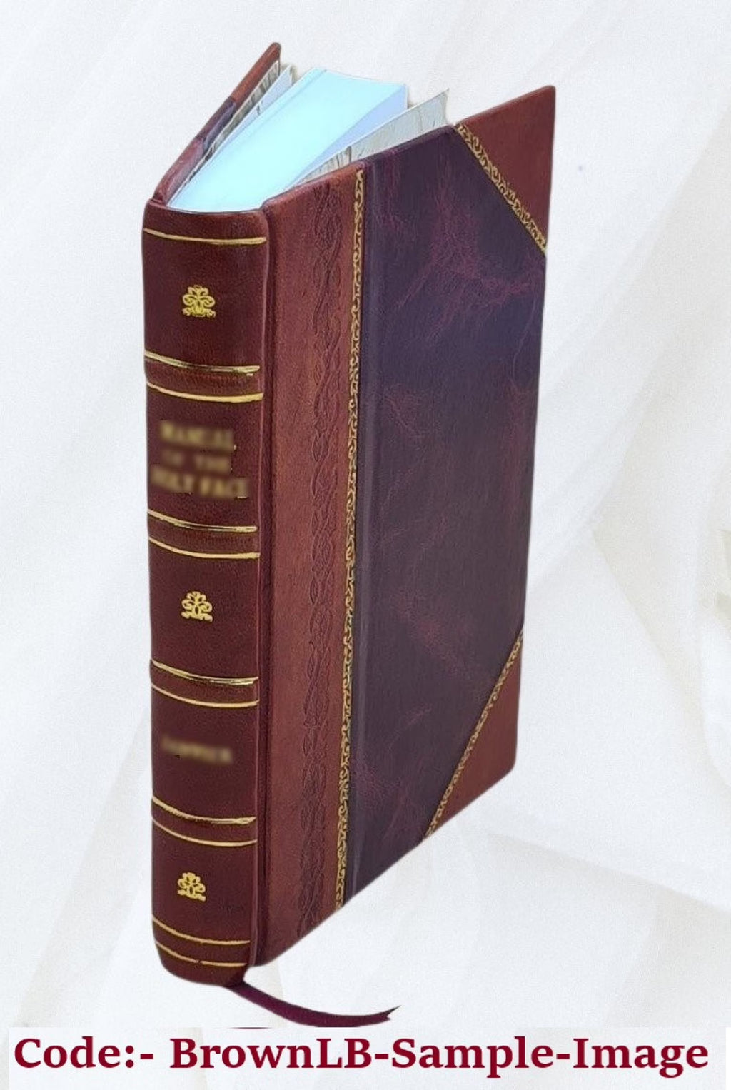 Leather Bound Book Z991491