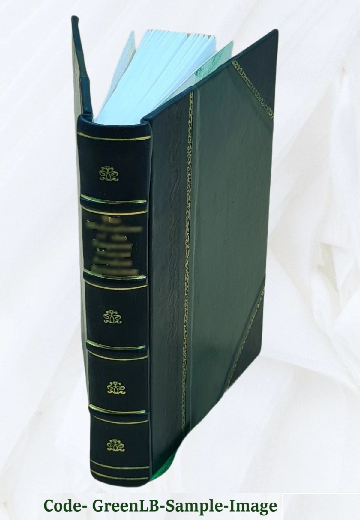 Leather Bound Book C2941